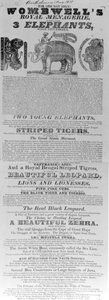 Plakat for Wombwells Royal Menageries opptreden på Bartholomew Fair, 1830 (trykt papir) av English School